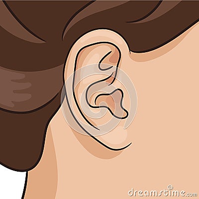 Vector illustration of human ear closeup with part of head and hair. Vector Illustration