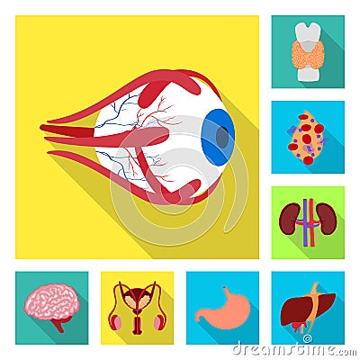 Vector design of human and health logo. Collection of human and scientific stock vector illustration. Vector Illustration