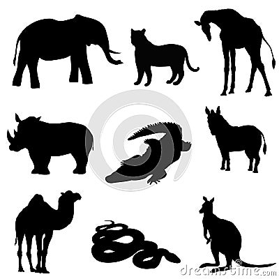 Vector illustration. Image rhino kangaroo, giraffe, elephant, zebra, snake, crocodile, camel, tiger a black silhouette. Vector Illustration