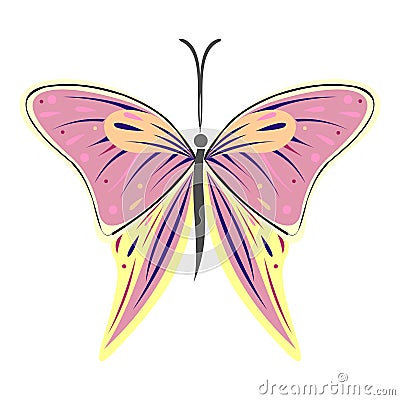 Vector illustration of insect, colorful butterfly Vector Illustration