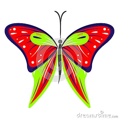 Vector illustration of insect, colorful red and green butterfly, isolated on the white background Vector Illustration