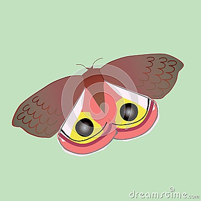 Io moth vector illustration on a green background Vector Illustration