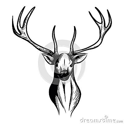Illustration of an isolated stag head Vector Illustration