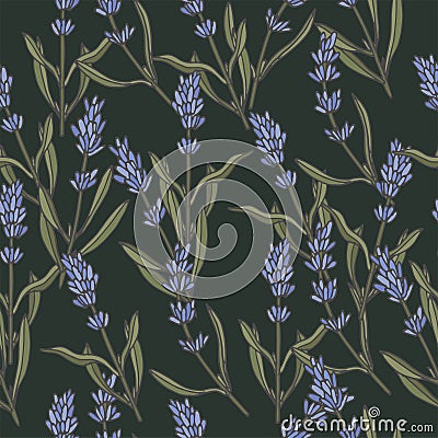 Vector illustration lavender branch - vintage engraved style. Seamless pattern in retro botanical style. Vector Illustration
