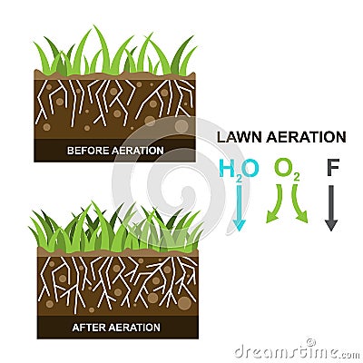 Vector illustration with lawn aeration Vector Illustration