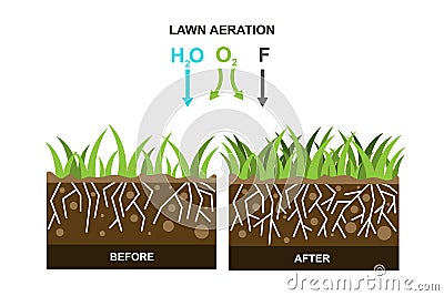 Vector illustration with lawn aeration Vector Illustration