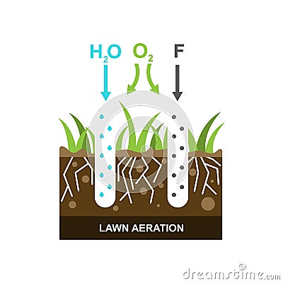 Vector illustration with lawn aeration Vector Illustration