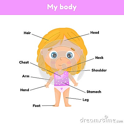 Little cute girl. Poster body parts for leaning anatomy for kids. Vector Illustration