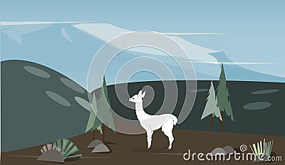 Vector illustration of a llama that stands in nature Vector Illustration