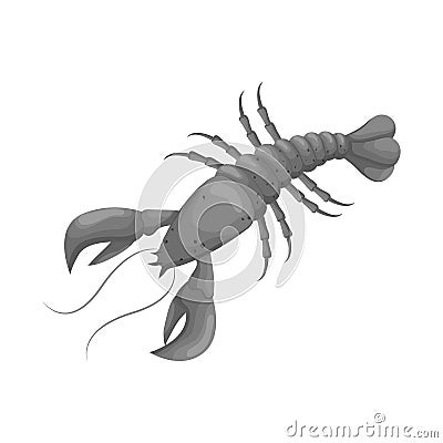 Vector design of lobster and red icon. Collection of lobster and atlantic stock vector illustration. Vector Illustration