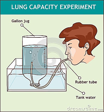 Vector illustration of a Lung Capacity Experiment Vector Illustration