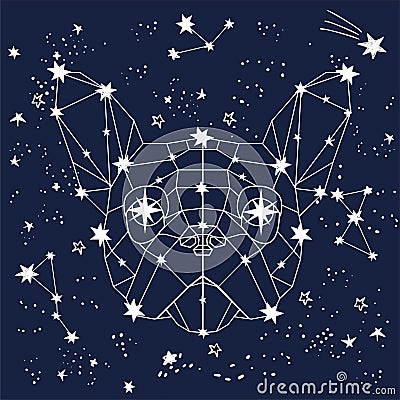 Vector illustration of magic zodiac linear polygonal dog in space among sketch hand drawn stars, animals constellation on dark sky Cartoon Illustration