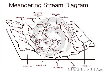 Vector illustration of a Meandering Stream Vector Illustration