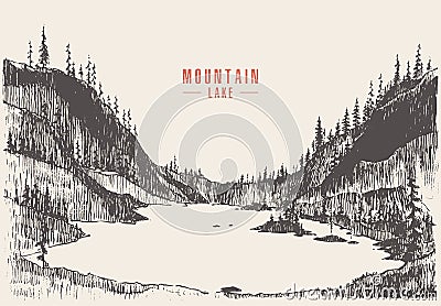 Vector illustration mountain lake pine forest draw Vector Illustration
