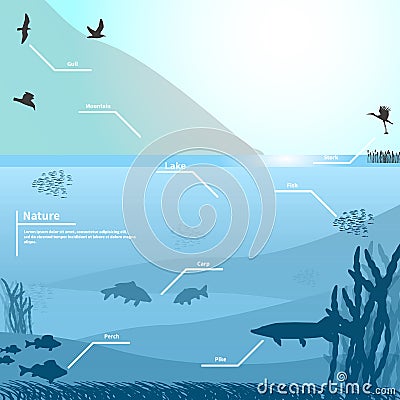 Vector illustration of nature on a blue background Vector Illustration