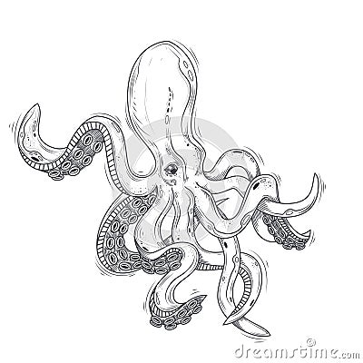 Vector illustration of an octopus painted in an engraving style isolated on white. Vector Illustration