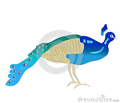 Beautiful peacock vector Vector Illustration