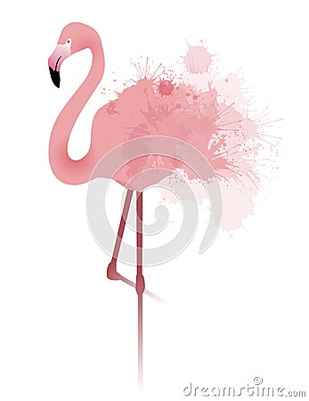 Vector illustration of pink flamingo with watercolor splatter Vector Illustration