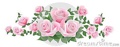 Vector illustration of pink roses. Vector Illustration