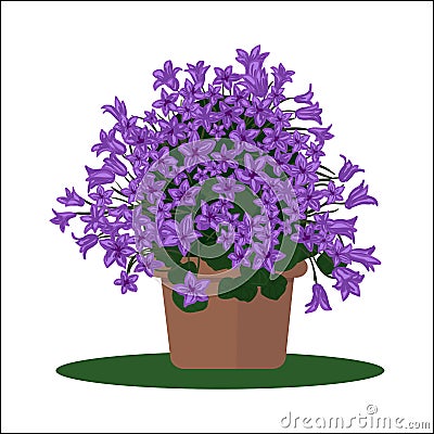 Vector illustration plant in pot. Vector Illustration