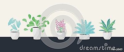 Plants in pot. Flat style Vector Illustration