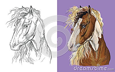 Vector illustration portrait of pinto horse colorful and monochrome Vector Illustration