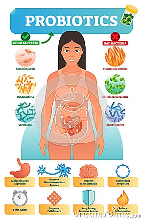 Vector illustration with probiotics. Medical bacteria and health benefits collection poster with escherichia and bifidobacteria. Vector Illustration