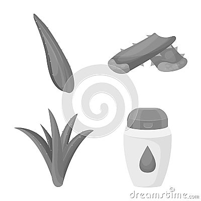 Vector illustration of product and botany symbol. Set of product and ingredient stock vector illustration. Vector Illustration