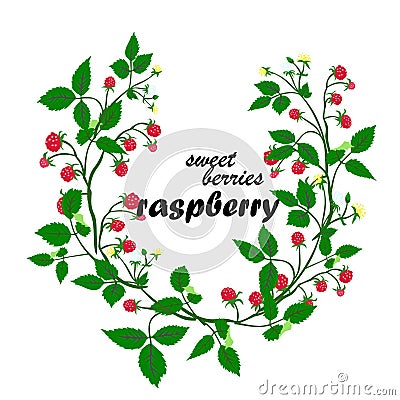 Vector illustration of raspberries Cartoon Illustration
