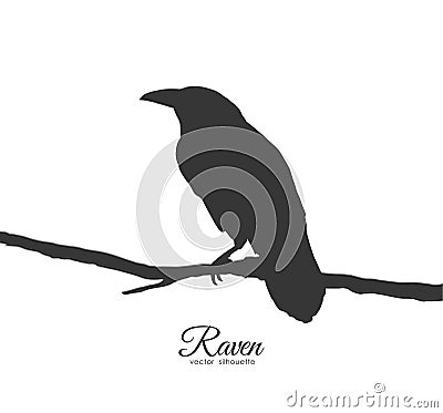 Raven sitting on branch on white background. Silhouette of bird Vector Illustration
