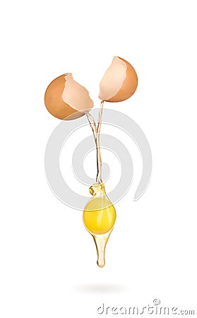 Vector illustration of raw eggs whipped egg yolk shell Vector Illustration