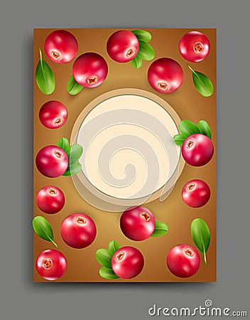 Vector illustration with realistic cranberry isolated with frame Vector Illustration