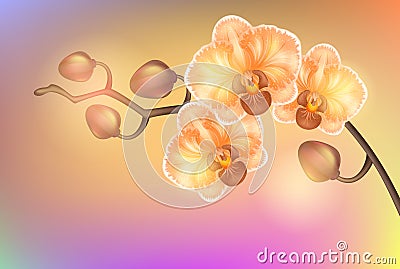 Vector illustration of a realistic flame orange vintage elegant orchids on a light background Vector Illustration