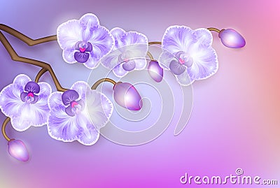 Vector illustration with realistic light lilac vintage elegant orchids on a light background Vector Illustration