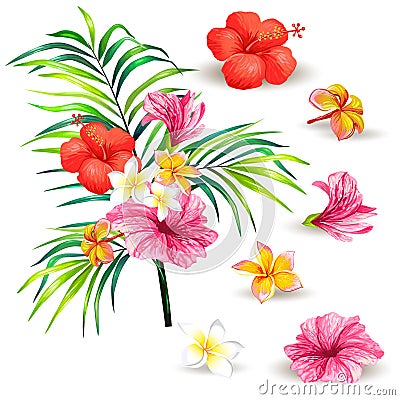 Vector illustration of a realistic style branch of a tropical palm tree Vector Illustration