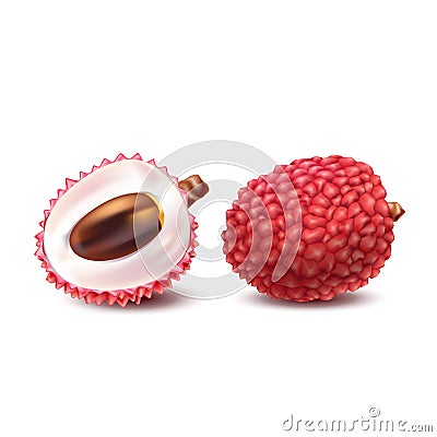 Vector illustration of a realistic style of litchy whole fruit and a cut litchi on white. Vector Illustration