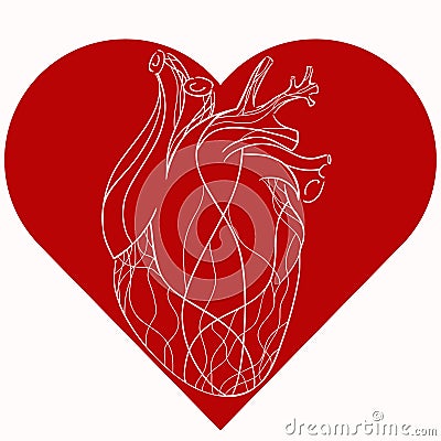 Vector illustration of realistic stylized heart in red heart. Vector Illustration