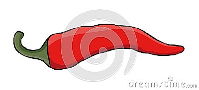 Vector illustration - a red hot chili pepper Vector Illustration