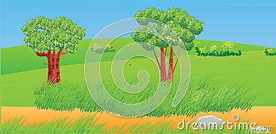 Country road. Grass and trees. Cartoon Illustration