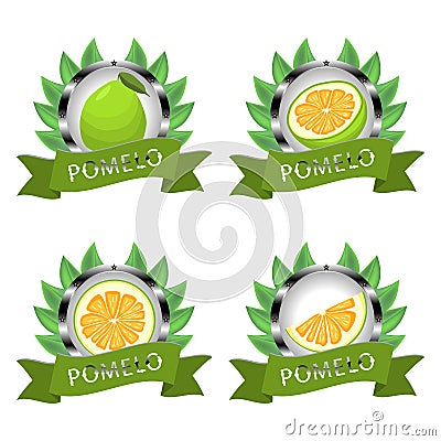 Vector illustration for ripe fruit green pomelo Vector Illustration