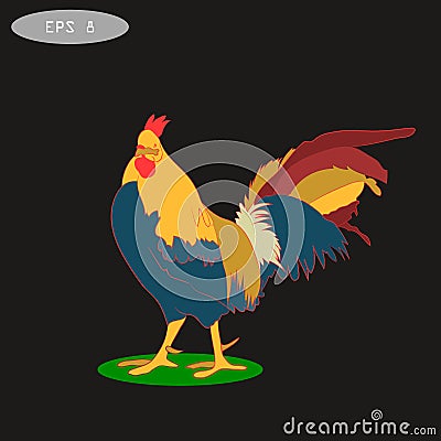 Vector illustration of rooster, symbol 2017 on the Chinese calendar. Vector Illustration