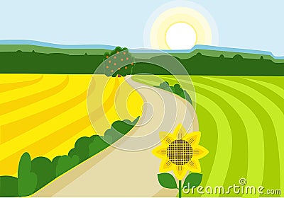 Vector illustration of a rural landscape with green and yellow fields, blue sky, winding road and forest Vector Illustration