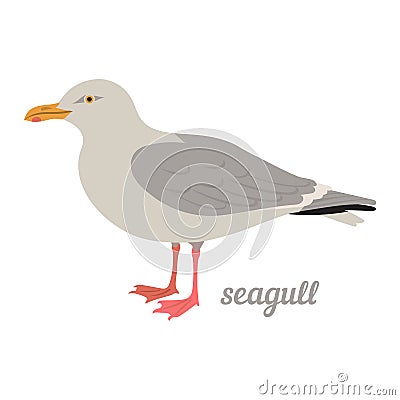 Vector illustration of seagull. Vector Illustration