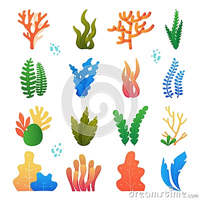 Nature seaweed marine Vector Illustration