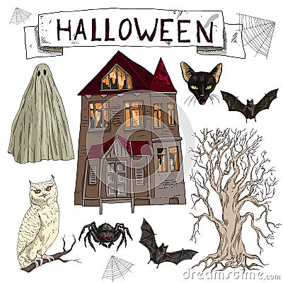 Vector illustration set of cartoon assorted Halloween accessories Spider, Black Cat, Web, Bat, landscape with scary old house, old Vector Illustration