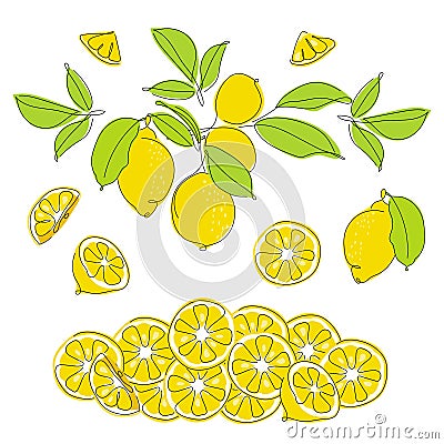 Set of collection compositions with lemon citrus element fruits. Vector illustration collection tropical exotic food. Vector Illustration