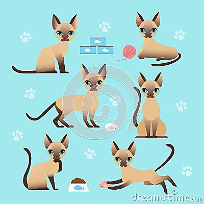 Vector illustration set of cute cat in different poses. Eating, sleeping, sitting and playing kitten in flat cartoon Vector Illustration