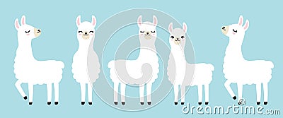 Cute White Llama Vector Illustration Vector Illustration