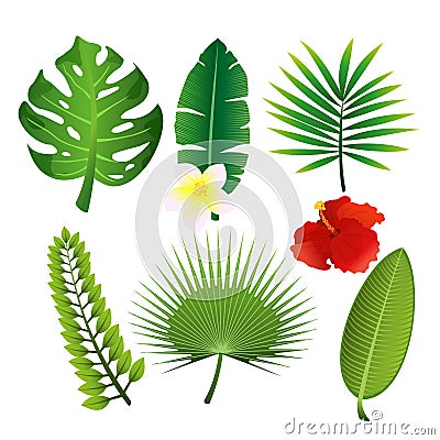 Vector illustration set of exotic tropical leaves and flowers. Colorful floral collection in flat cartoon style. Vector Illustration