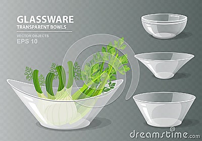 Vector illustration set of four transparent glass bowls with celery and fennel for your design Vector Illustration